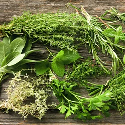 Herbes