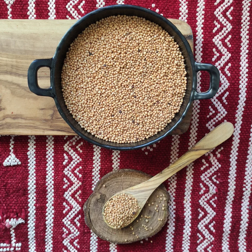 Grain moutarde Tunisie